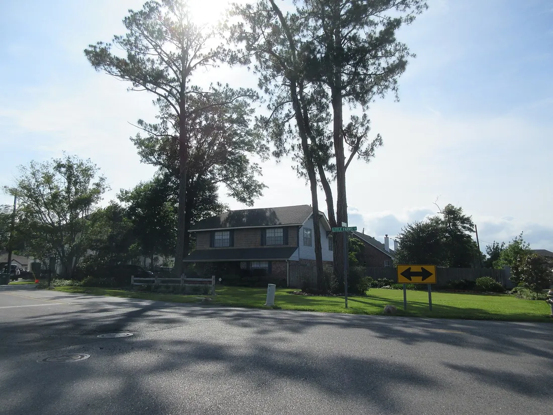 Two-story house behind tall pine trees at a Little Farms Avenue corner on a sunny day